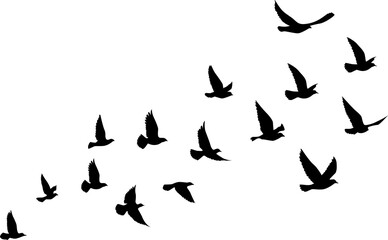 Obraz na płótnie Canvas Flying birds silhouettes pattern wallpaper. PNG transparent. isolated bird flying. tattoo design. template for card, package, and wallpaper.