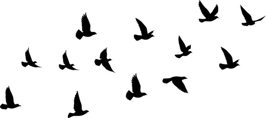 Fototapeta na wymiar Flying birds silhouettes pattern wallpaper. PNG transparent. isolated bird flying. tattoo design. template for card, package, and wallpaper.