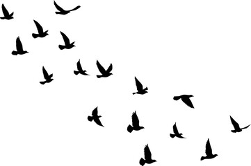 Flying birds silhouettes pattern wallpaper. PNG transparent. isolated bird flying. tattoo design. template for card, package, and wallpaper.