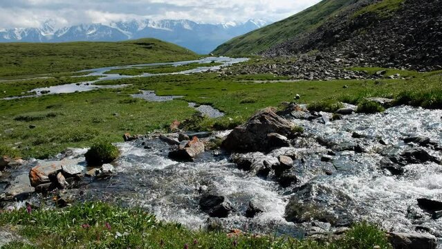 Video of Altai river Yarlyamry. The stream is surrounded by alpine forb meadows. On background is North-Chuysky mountain range.