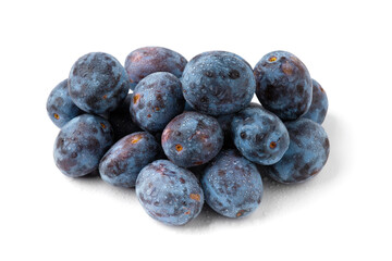 plum isolated on a white background