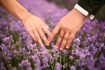 bride and groom in a lavender field in france