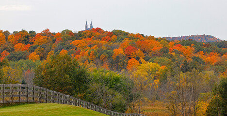 Obraz premium Fall color trees in Wisconsin.