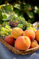 Obraz premium Summer peach and grape harvest