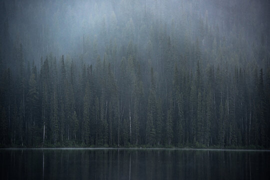 A view of the lake with fog
