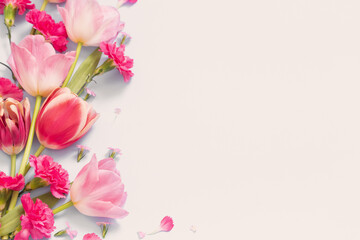 Fototapeta na wymiar beautiful spring flowers on white background