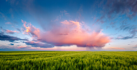 Spectacular storm clouds over the green field in springtime. - Powered by Adobe