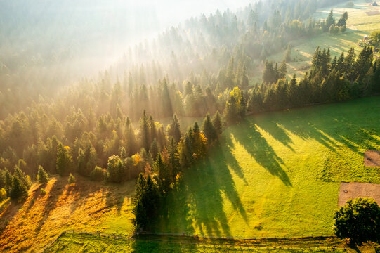 Spectacular misty landscape with sunbeams breaking through the trees.