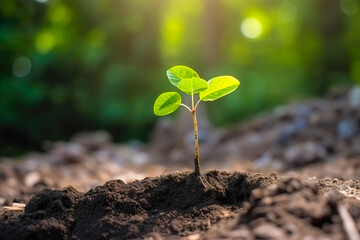 Young green plant growing at sunlight in the garden. World Earth Day banner. Save world concept