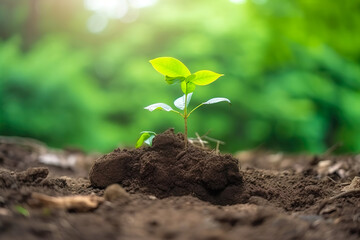 Young green plant growing at sunlight in the garden. World Earth Day banner. Save world concept