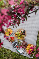 Summer picnic in nature with fruits and berries in the garden under the flowering apple tree
