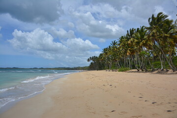 Paradies Strand in der Dominikanischen Republik auf der Halbinsel Samana