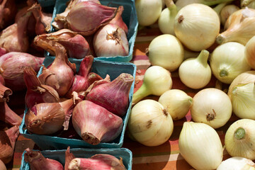 High angle view of various onions on table