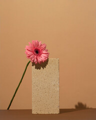 Gerbera flower. Stone Podium for promotion on beige Background. Natural pedestal. Stone podium with...