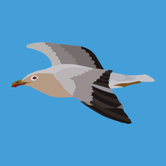  Illustration of a beautiful and Cute Flying Birds