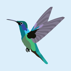  Illustration of a beautiful and Cute Colorful Flying Bird 