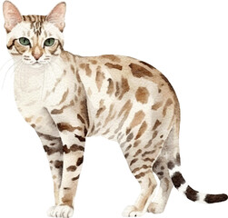 Bengal cat breed illustration created with Generative AI technology