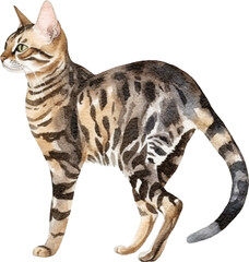 Bengal cat breed illustration created with Generative AI technology