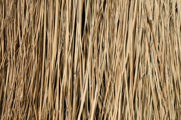 Dry sedge background used as a roof or sunshade, close up of natural dry grass background, creative layout idea or flat lay for advertising card or invitation