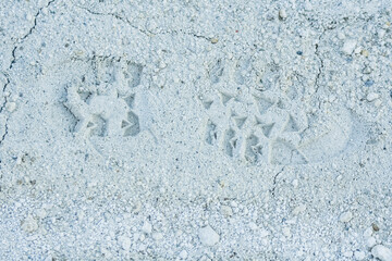 footprint in the white sand from a lime quarry detail