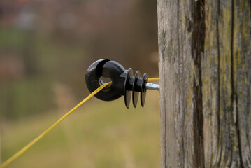 Weidezaun - Detail (Isolator) an einem Elektrozaun / Stromzaun (electric fence / power fence)