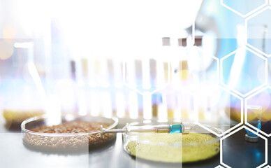 Research Analyzing Agricultural Grains And seeds In The Laboratory. Background with futuristic flare.