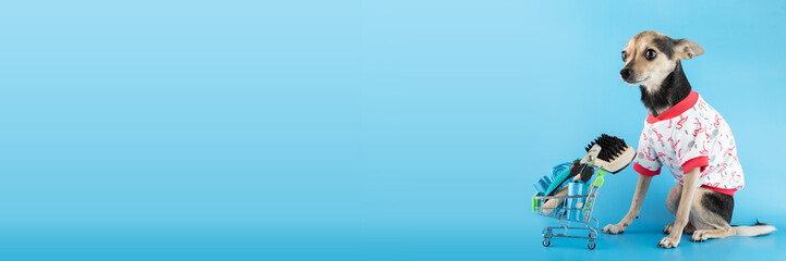 dog accessories background, funny happy dog with a shopping cart with pet goods, pet shop banner