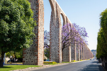 Queretaro Mexico aqueduct with jacaranda tree and purple flowers