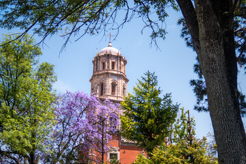 Jacaranda tree purple flowers background of Temple of San Francisco de Asis in Queretaro Mexico