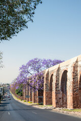 Queretaro Mexico aqueduct with jacaranda tree and purple flowers