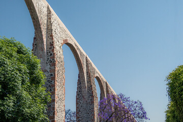 Queretaro Mexico aqueduct with jacaranda tree and purple flowers