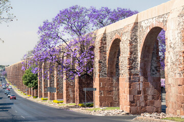 Queretaro Mexico aqueduct with jacaranda tree and purple flowers