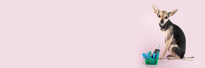 pet shop delivery background, cute dog with a shopping cart with pet goods, buying dog accessories