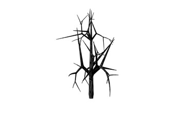 dead tree white background 3d rendering