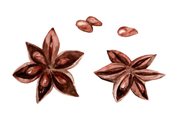 Watercolor hand drawn illustration set of star anise and seeds isolated on white background.