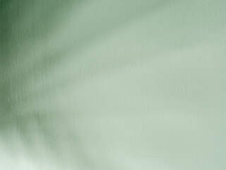 Obraz premium Shades of palm leaves on a rough wall. Retro background and empty space.