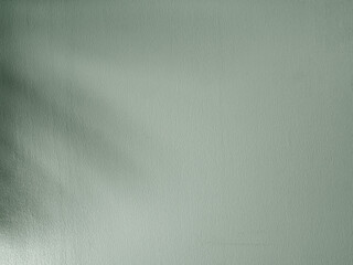 Shades of palm leaves on a rough wall. Retro background and empty space.