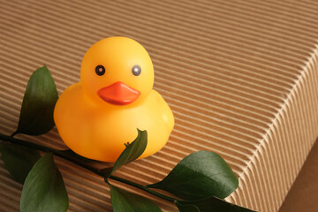 non-toxic toys for kids concept, orange rubber duck and plant branch with green leaves on brown background