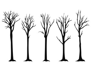 Set of black silhouettes of trees. Vector illustration