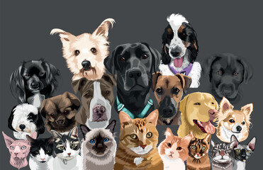 Biggest Set of colorful realistic vector portraits of pets.isolated different cats and dogs breeds.Image for design, cards, tattoo, Stock illustrations.