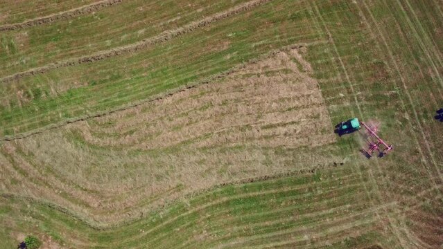 Farmers harvest dry hay by moving the harvested hay with a tractor turner. Top view.