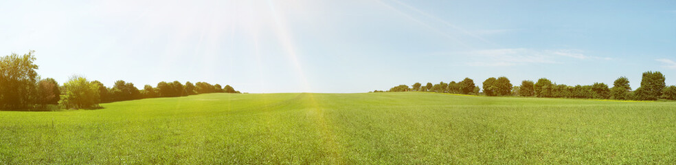Wiese mit frischem Gras im Frühling und Sonne am Himmel - Panorama