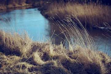 A fragment of a flowing river in early spring between trees and grass