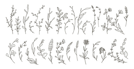 Hand drawn thin floral botanical line art. Trendy minimal elements of wild and garden plants, branches, leaves, flowers, herbs. Vector illustration for logo or tattoo, invitation save the date card 