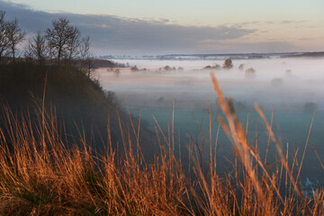 Trees growing on the escarpment above the misty valley of the Wieprz River