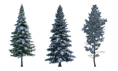 Pine Spruce Fir snow tree set alpha channel png