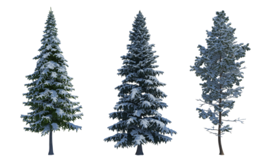 Pine Spruce Fir snow tree set alpha channel png