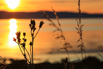 Trondheim fjord during sunset