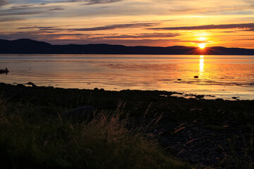 Trondheim fjord during sunset, grass on the beach