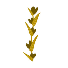 Golden plant.rustic botanical plant.decorative plant.